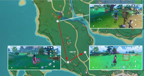 原神绯樱绣球采集路线位置 角色突破材料绯樱绣球采集攻略图片12