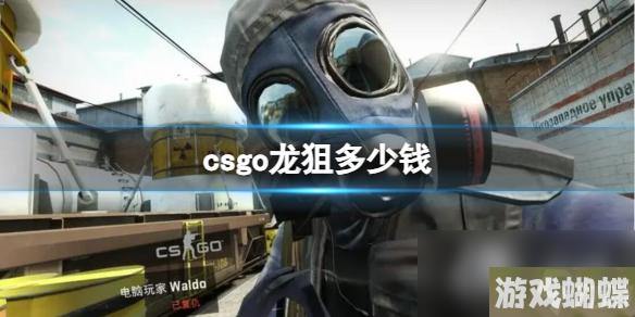 《CSGO》2023最新龙狙价格介绍
