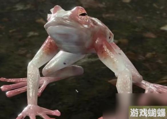 《博德之门3》混沌蛙奖励怎么获得？ 混沌蛙奖励获取攻略