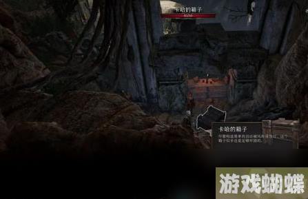 博德之门3卡哈的秘密任务怎么做