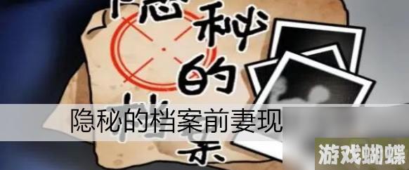 隐秘的档案前妻现任玩法推荐