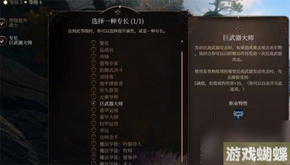 博德之门3战士属性加点推荐