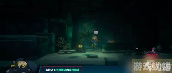潜水员戴夫羽状珊瑚和莲状珊瑚在哪