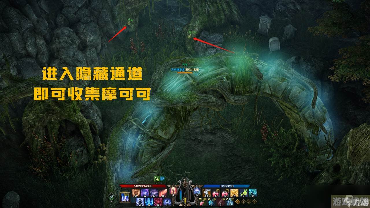 命运方舟摩可可种子多少个
