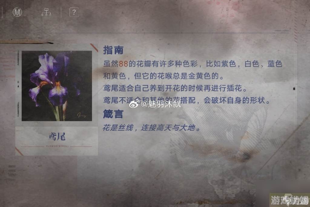 无期迷途花笺密文,无期迷途花笺解密