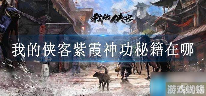 我的侠客紫霞神功秘籍在哪