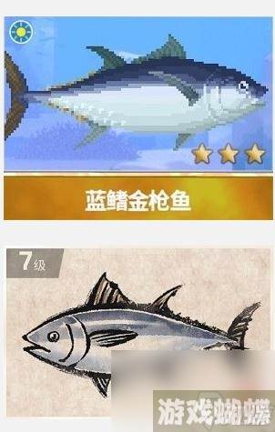 潜水员戴夫蓝鳍金枪鱼捕捉 潜水员戴夫蓝鳍金枪鱼在哪捕捉