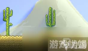 泰拉瑞亚沙块怎么获得