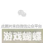 省流量的手机浏览器(哪个浏览器流量用得少)