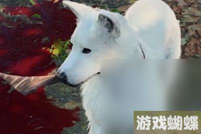 《博德之门3》挠挠加入营地方法攻略